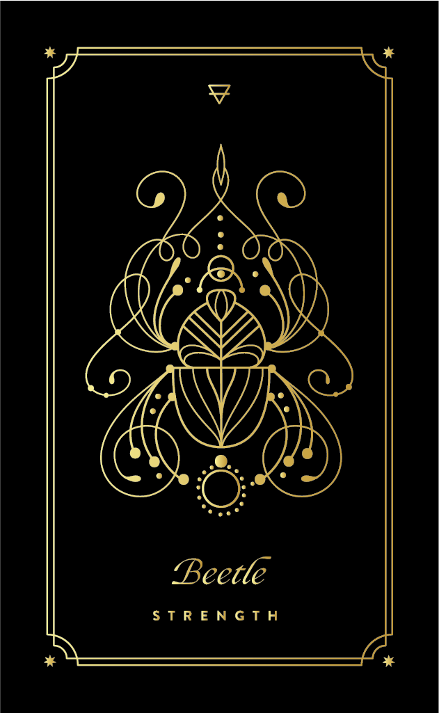 Beetle