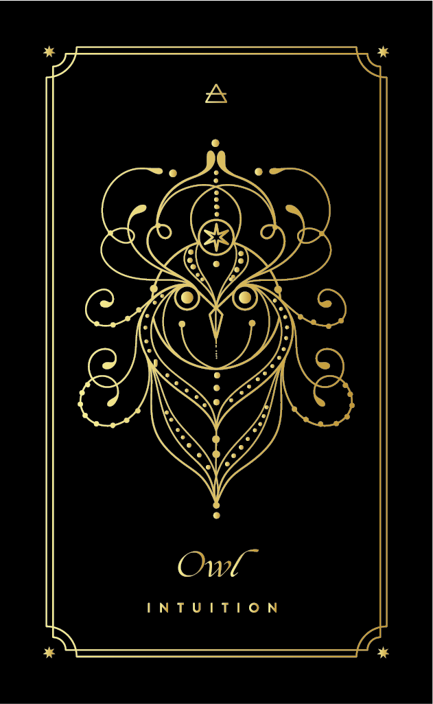 Owl