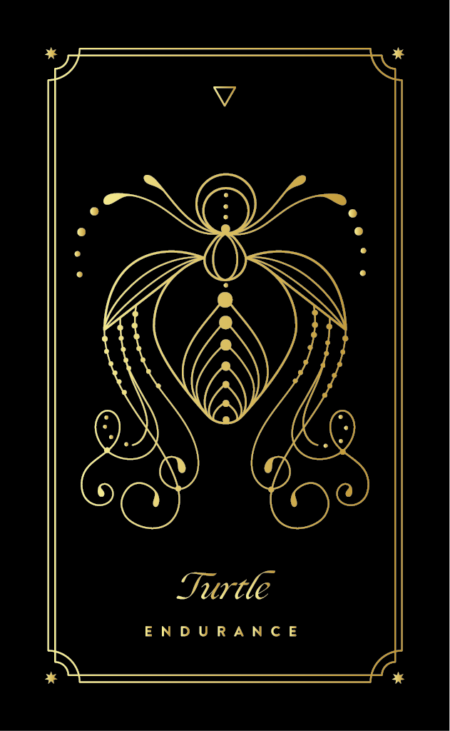 Turtle