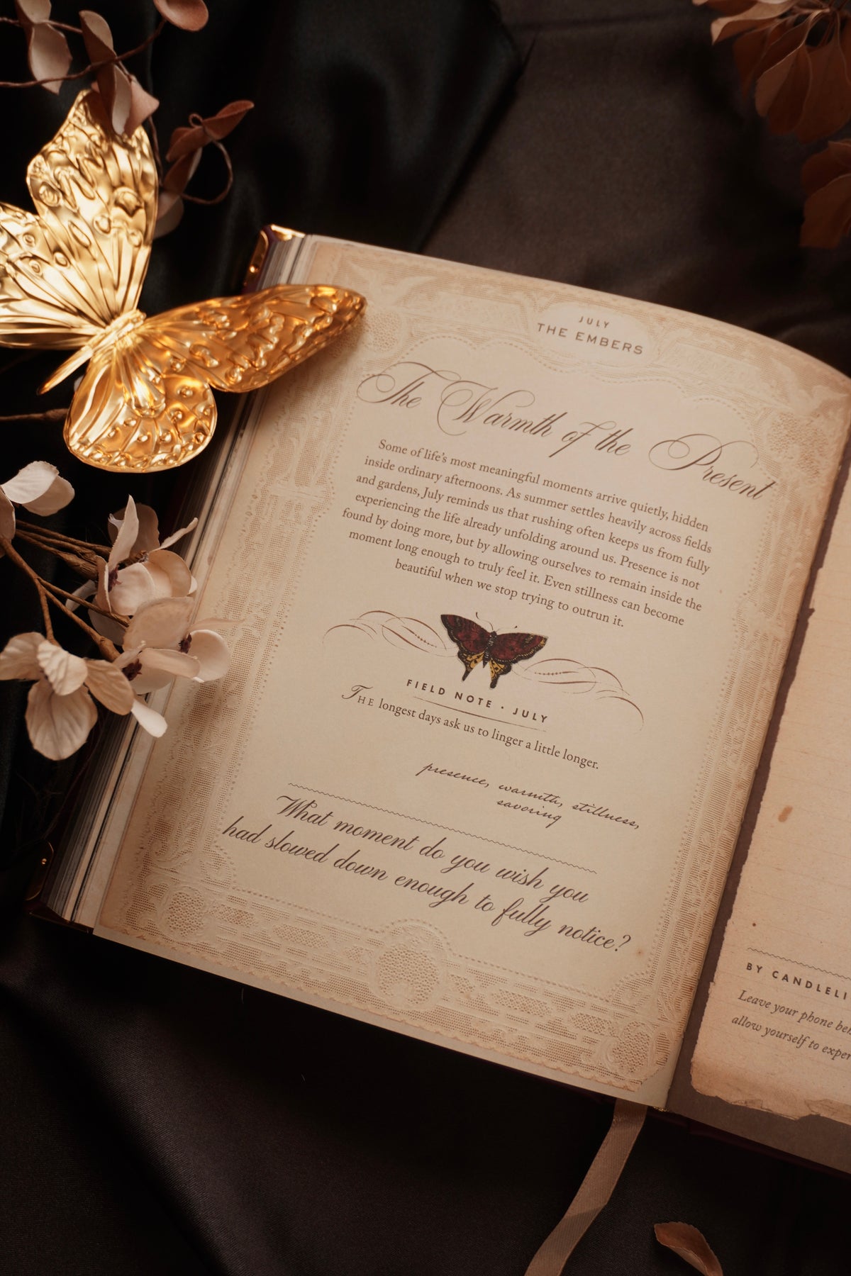EMBER, 2027 Cocorrina Planner Book