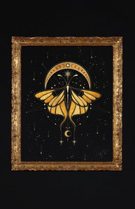 Cosmic Butterfly Printable Art Cocorrina