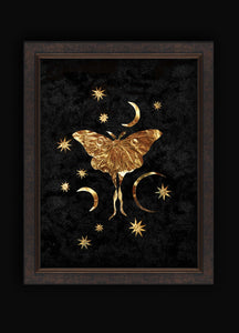 Moon Moth Large - Brass Legacy
