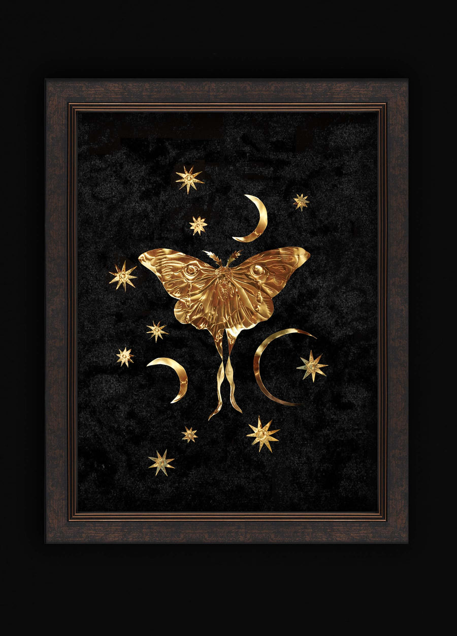 Moon Moth Large - Large Brass Legacy