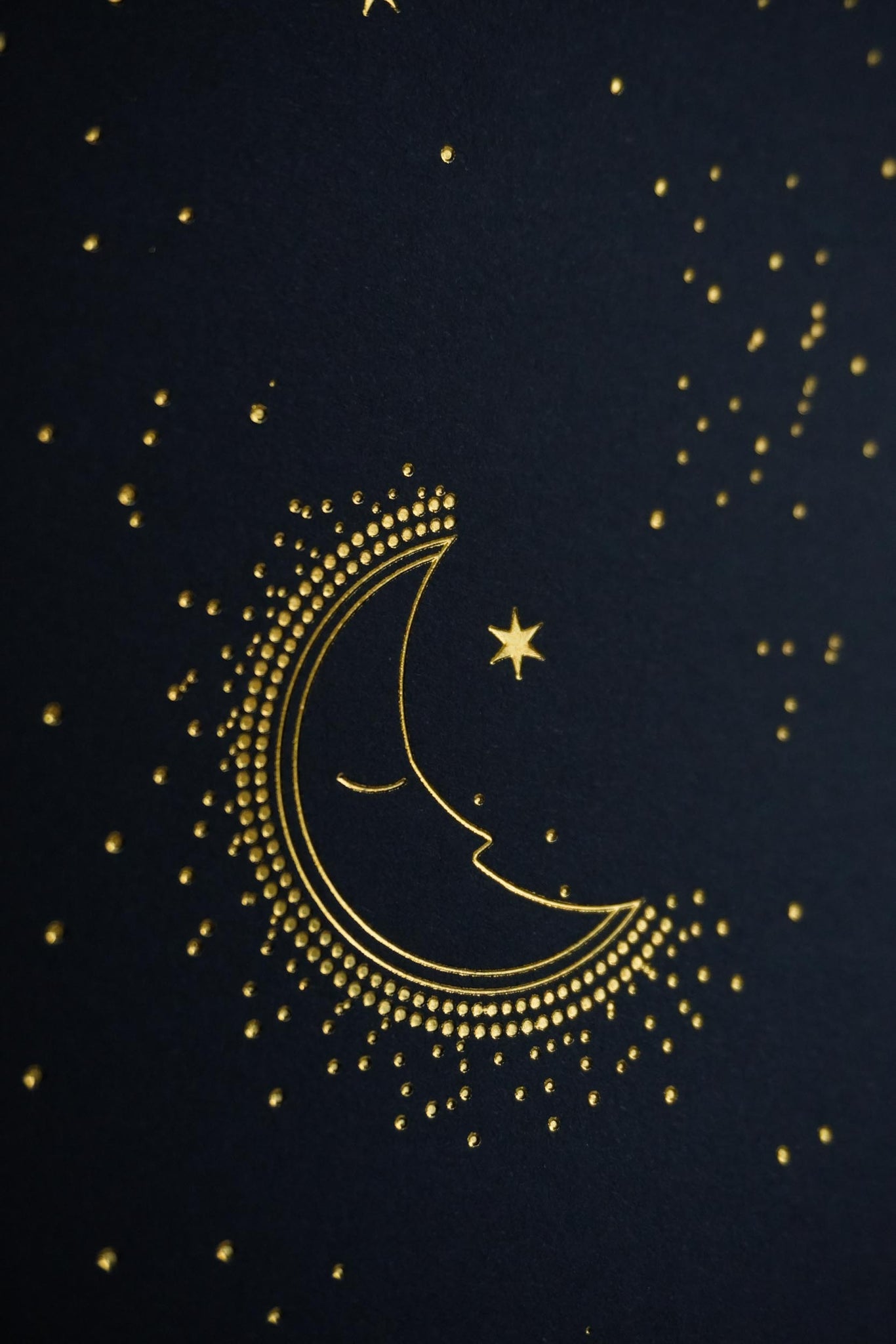 Capricorn Constellation Art Print