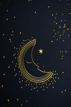 Capricorn Constellation Art Print