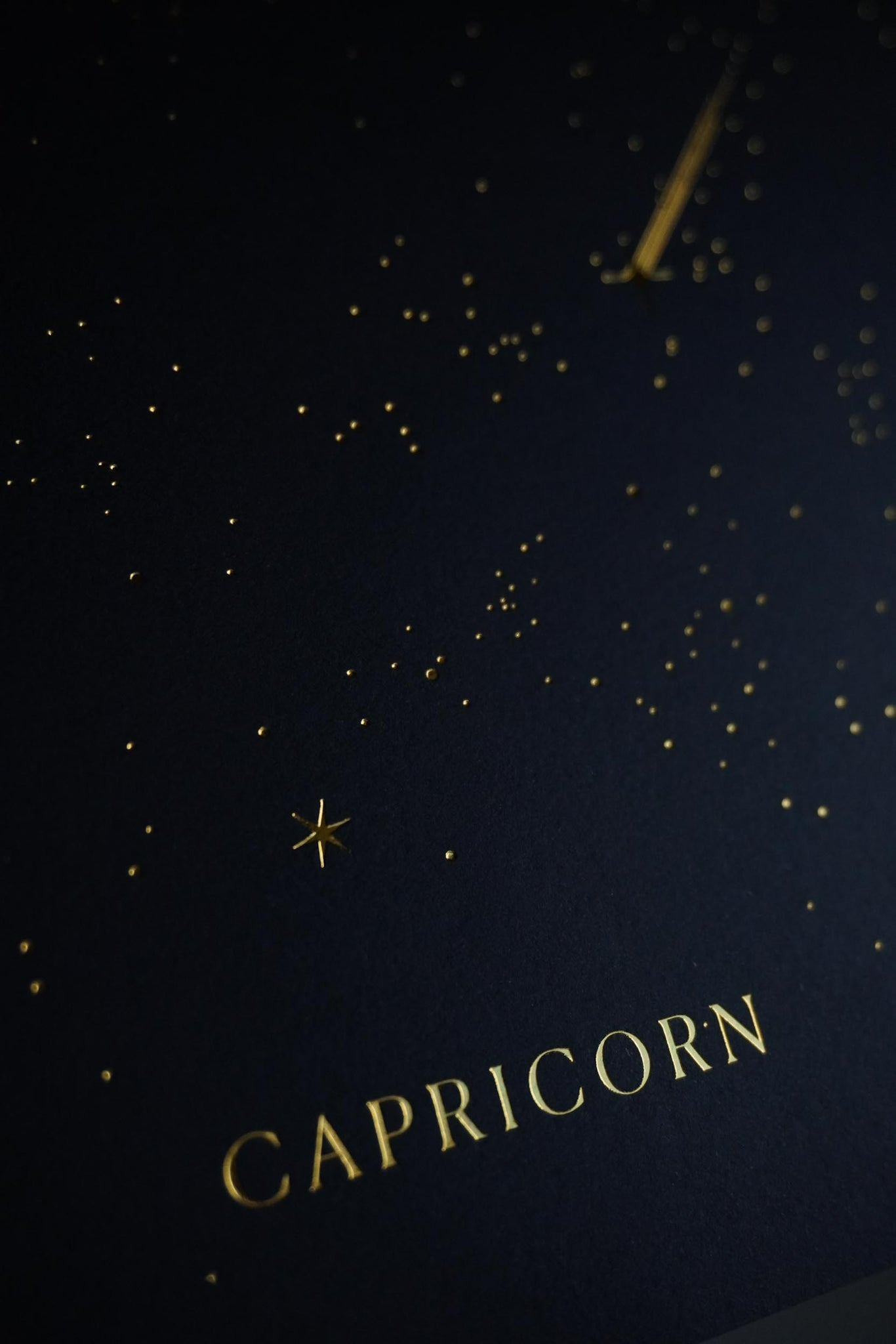Capricorn Constellation Art Print
