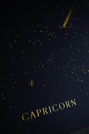 Capricorn Constellation Art Print