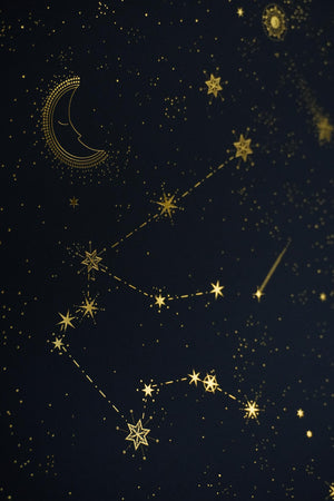 Aquarius Constellation Art Print