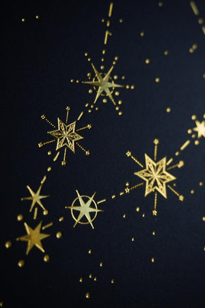 Capricorn Constellation Art Print