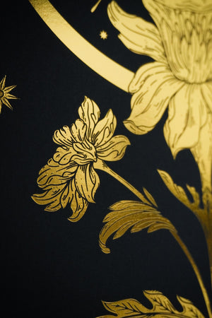 Sun and Moon Daffodil Art Print