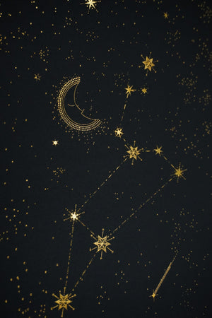 Leo Constellation Art Print