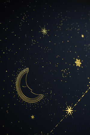 Aquarius Constellation Art Print