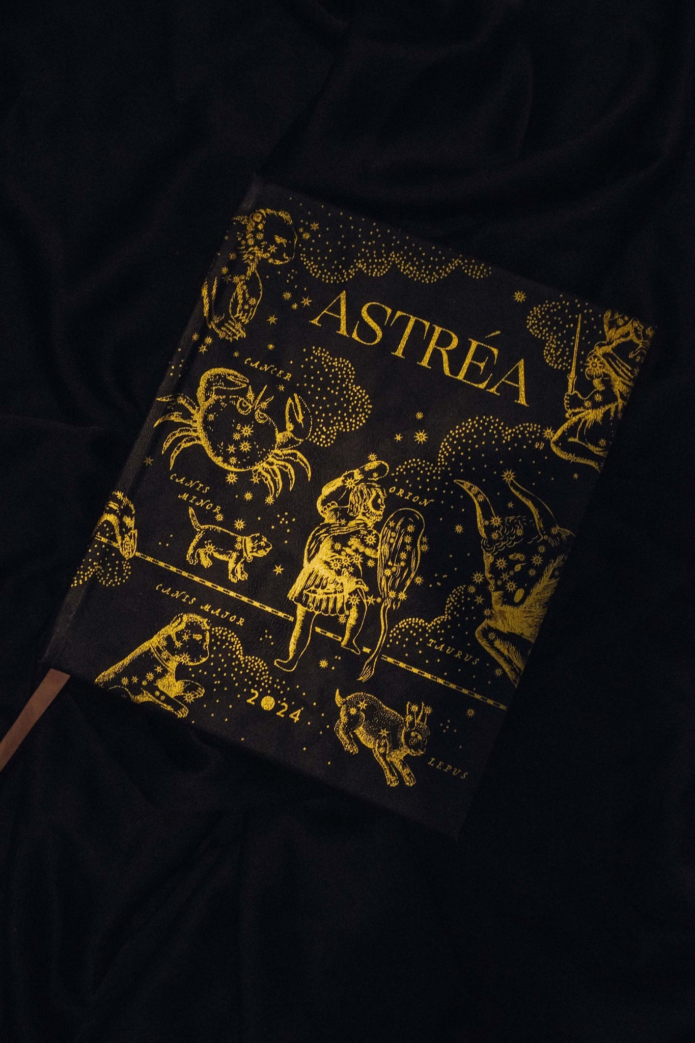 Astrea, 2024 Cocorrina Planner