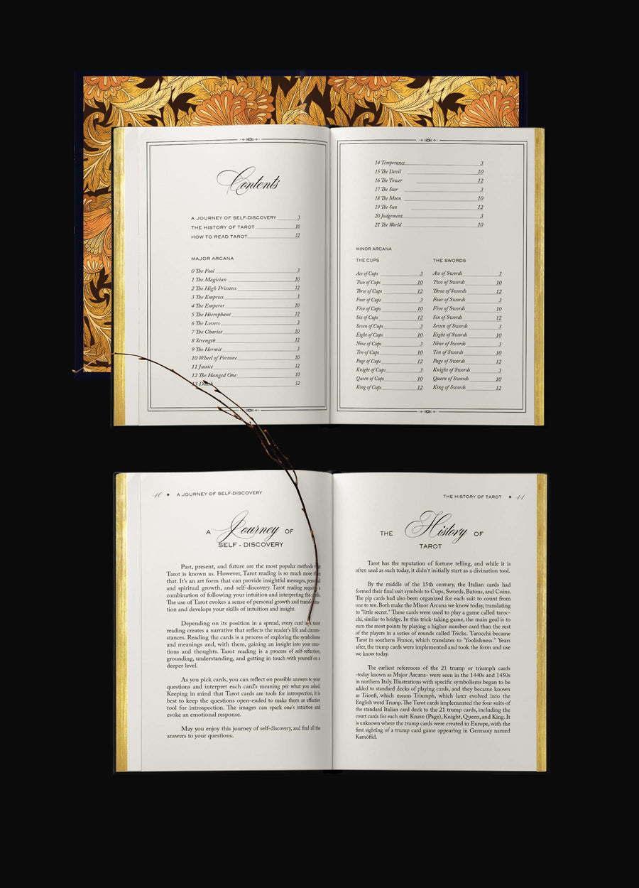 Aurora Tarot Gold a cosmic magical tarot deck by Cocorrina
