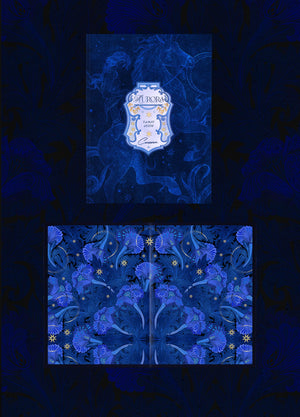 Aurora Tarot Blue a cosmic magical tarot deck by Cocorrina