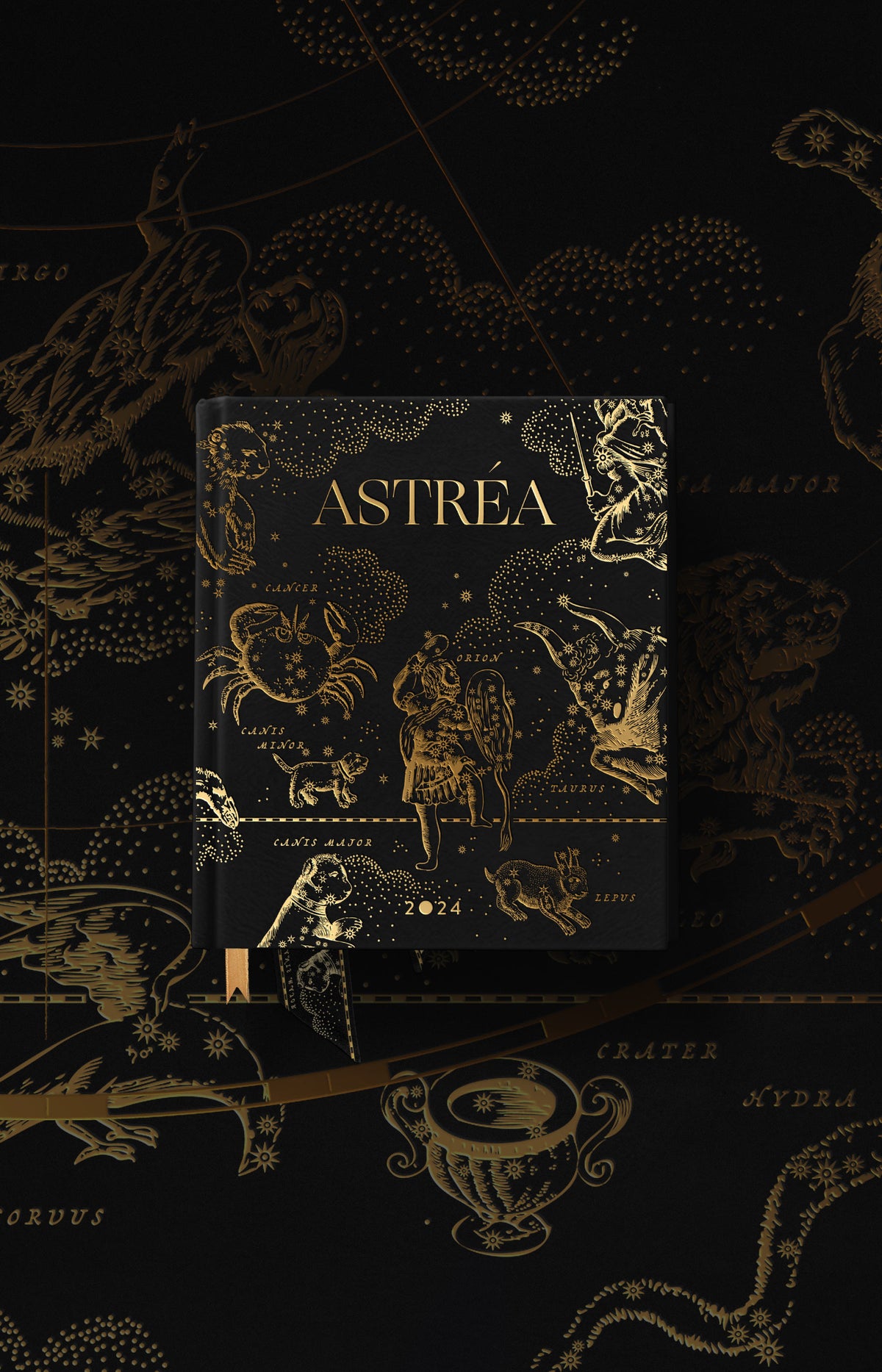 Astrea, 2024 Cocorrina Planner