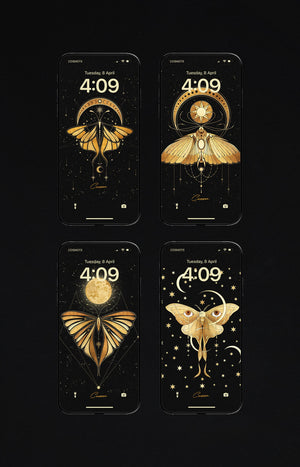 Butterflies Cocorrina Wallpapers