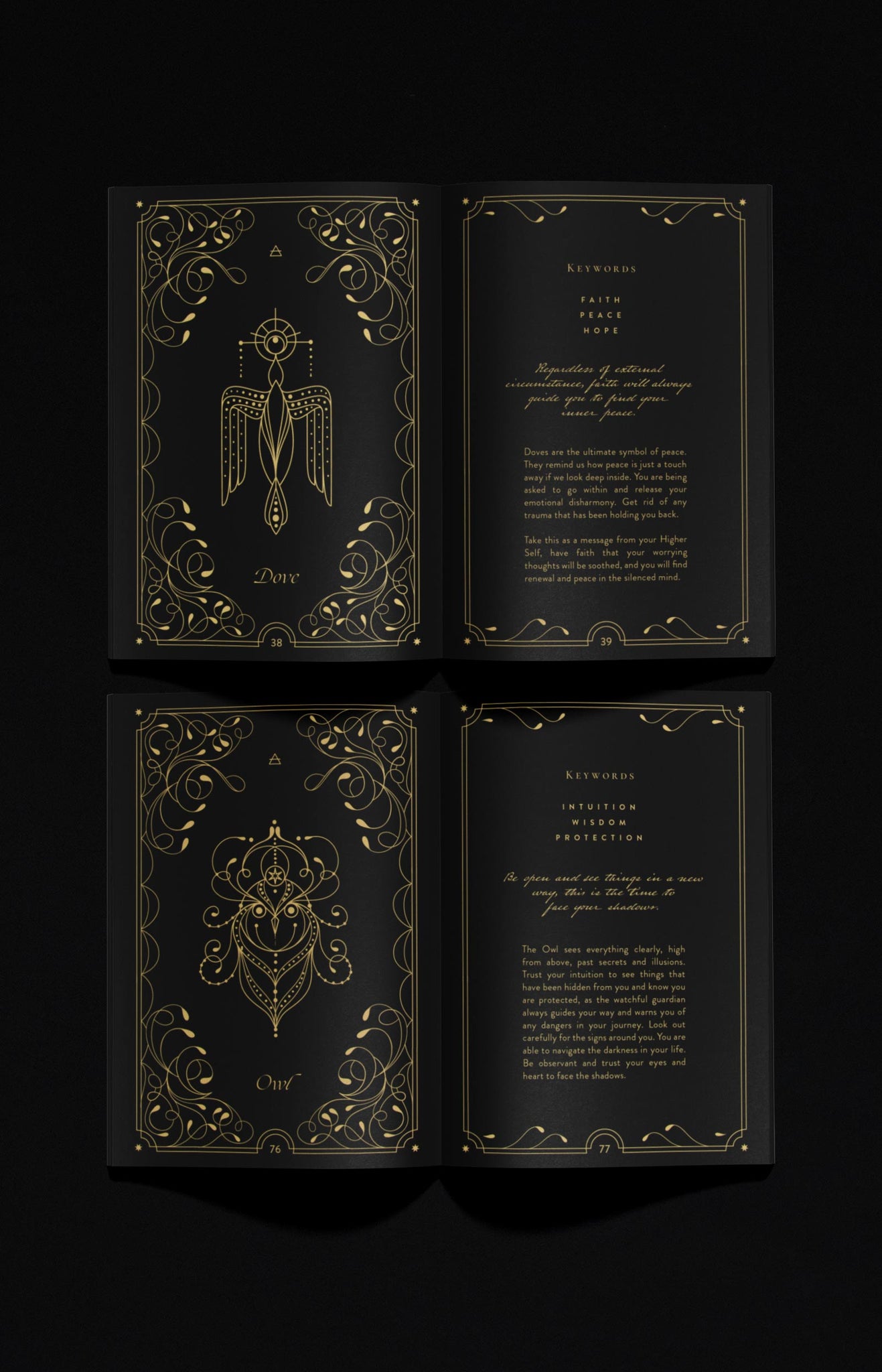 Cosmic Wild Guidebook