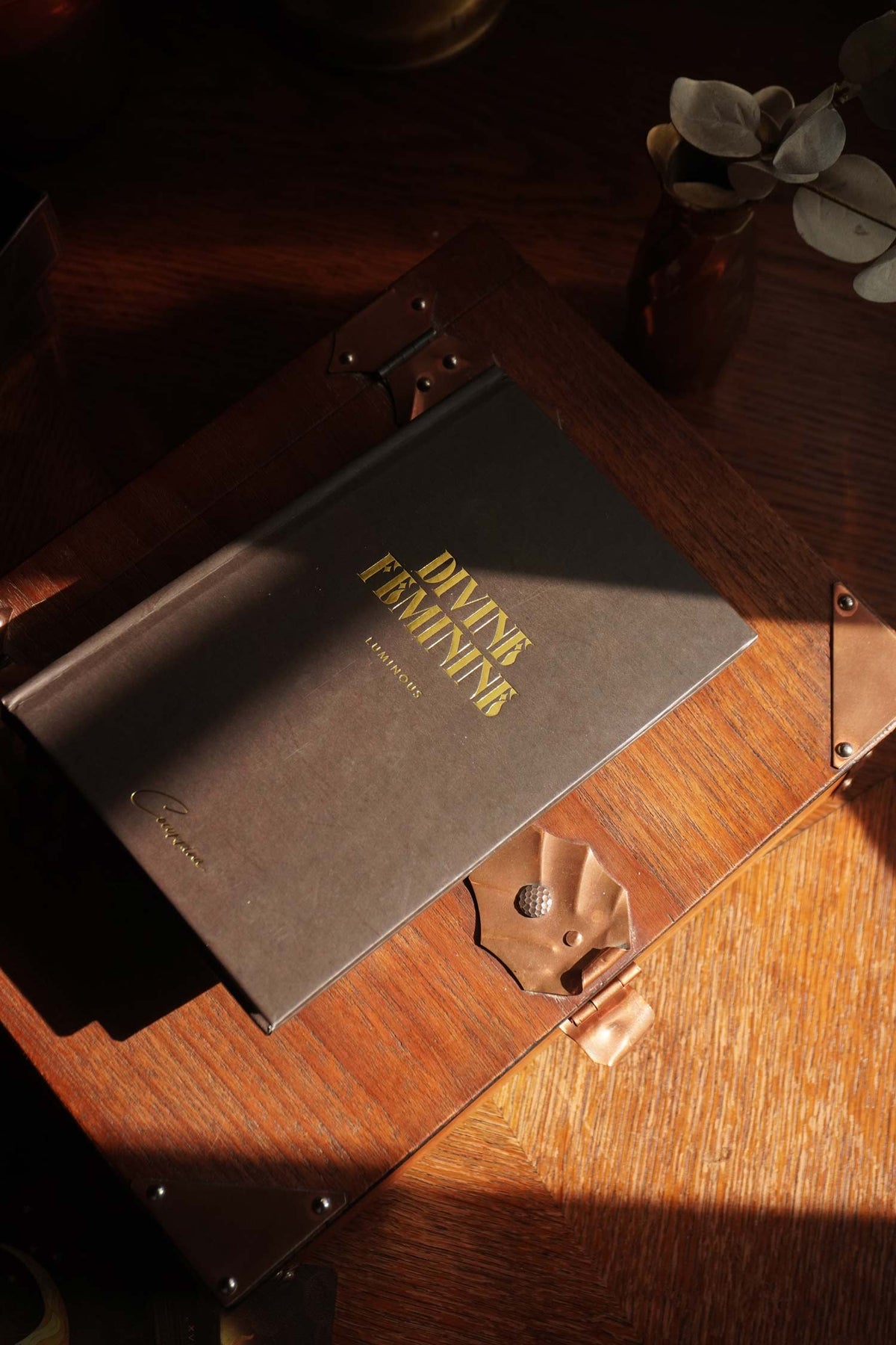 Divine Feminine Tarot Book