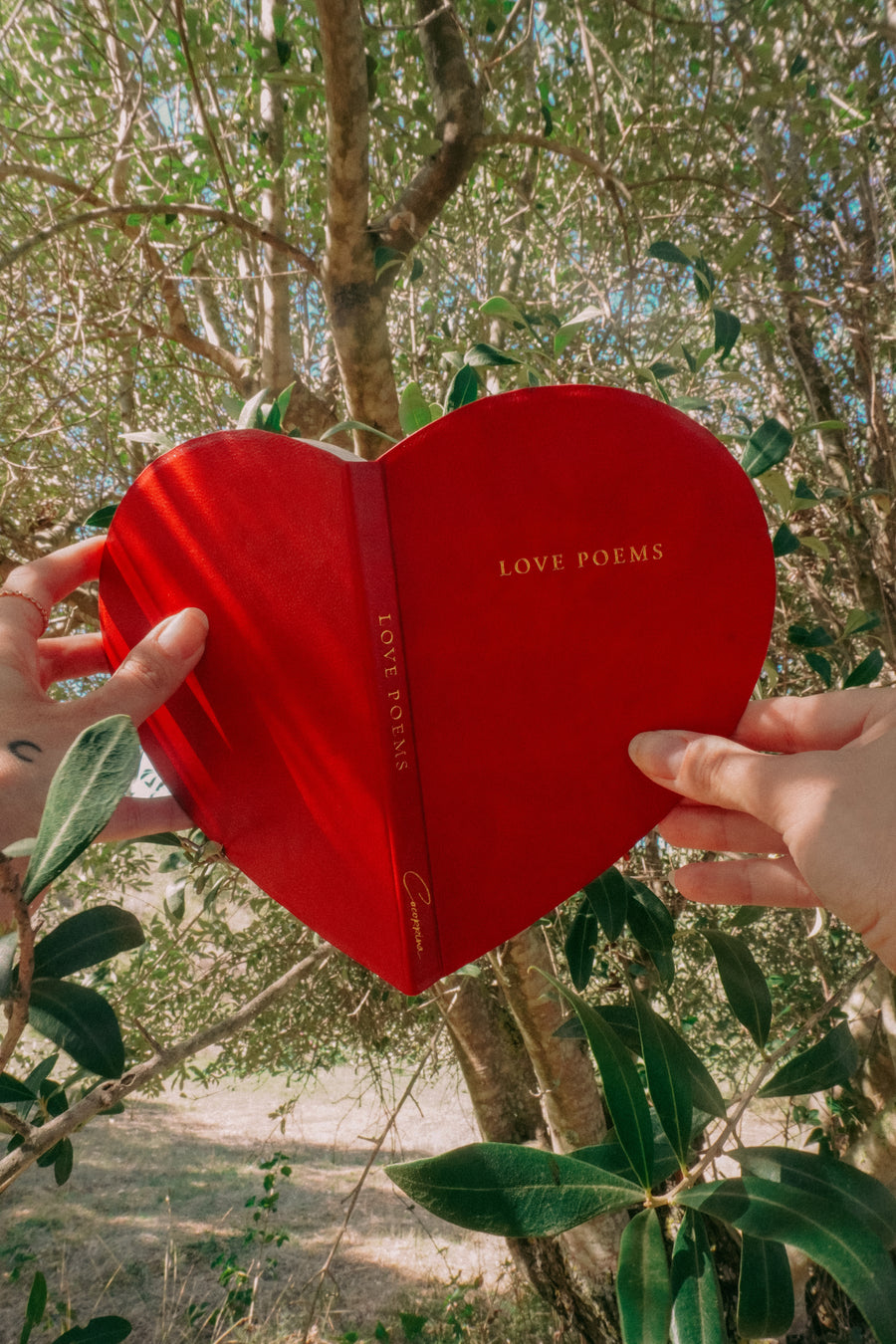 Love Poems - Heart Books Collection