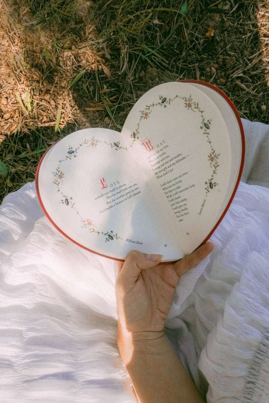 Complete Hardcase Heart Books Collection