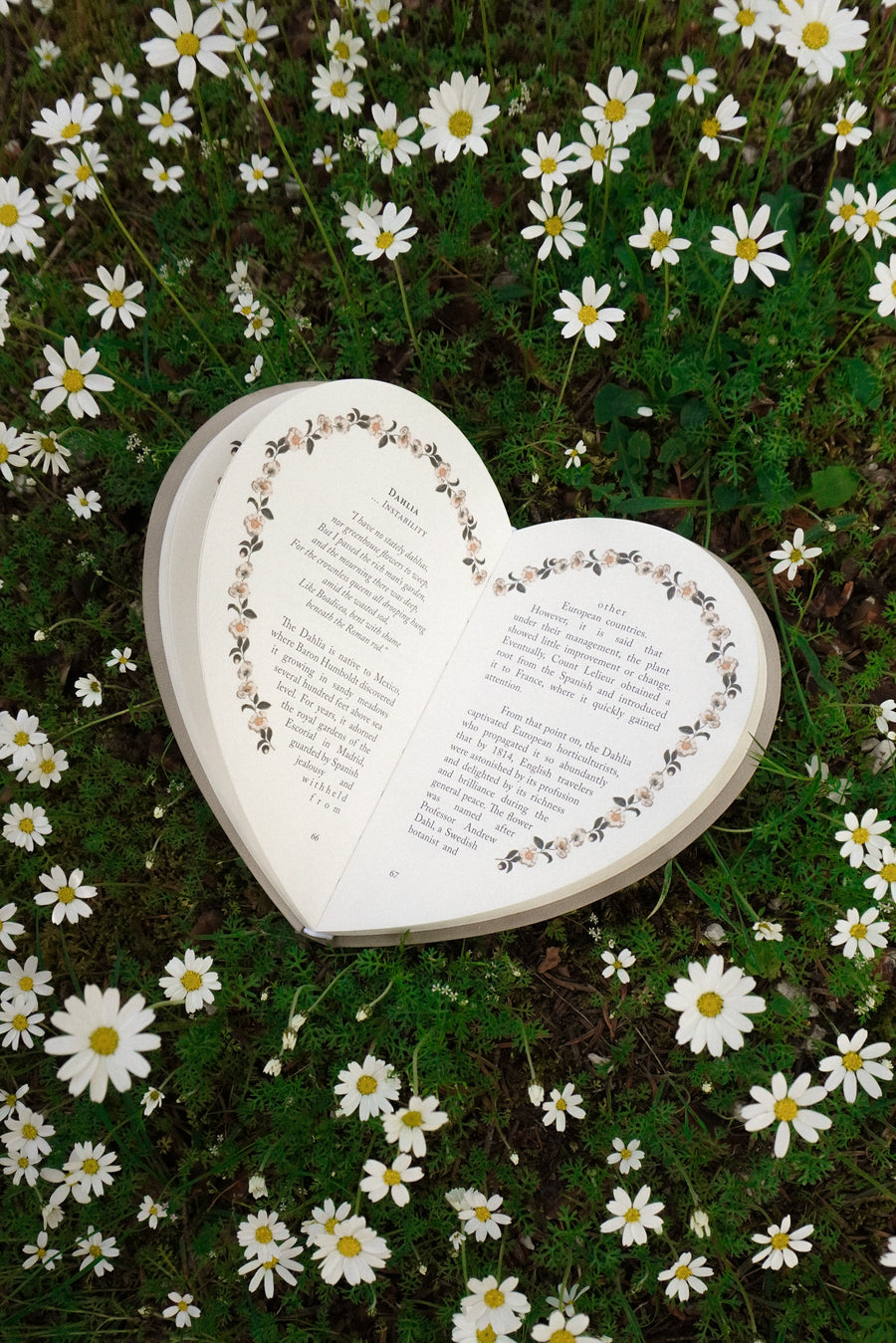 Complete Hardcase Heart Books Collection