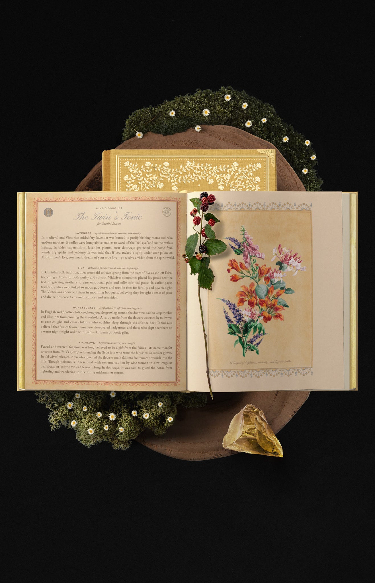 EDEN, 2026 Cocorrina Planner