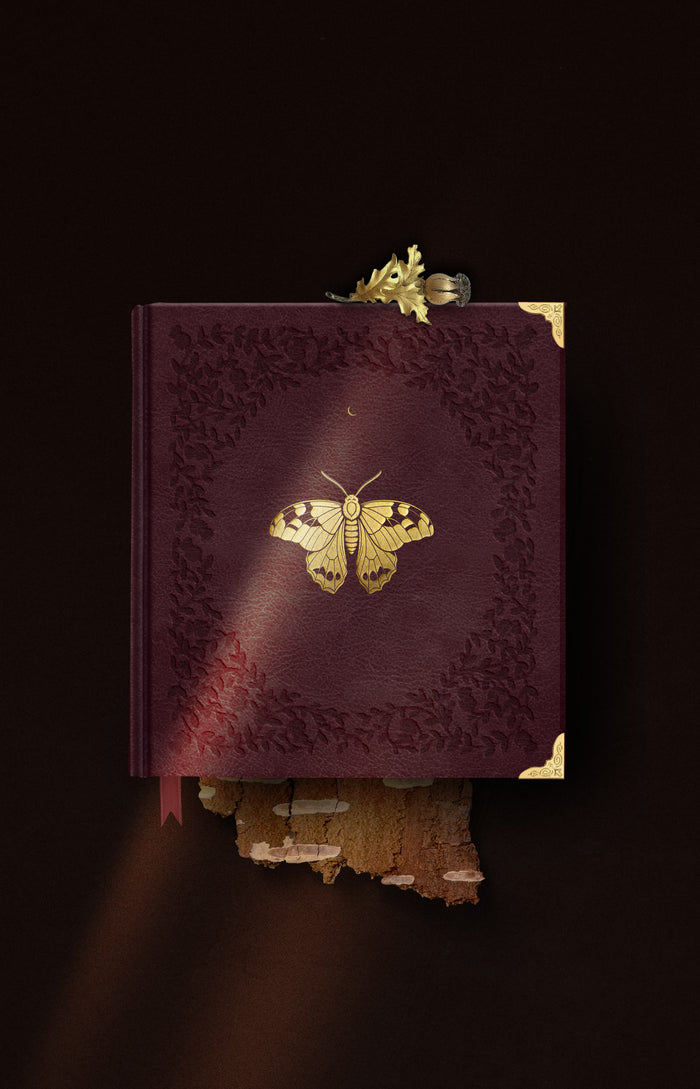 EMBER, 2027 Cocorrina Planner Book