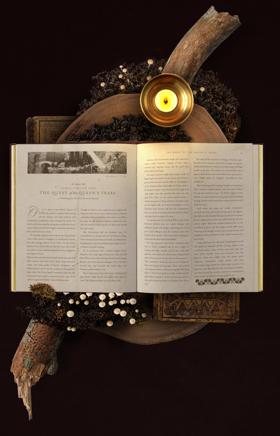 EMBER, 2027 Cocorrina Planner Book
