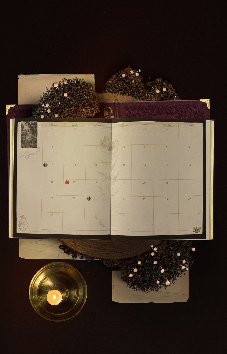 EMBER, 2027 Cocorrina Planner Book