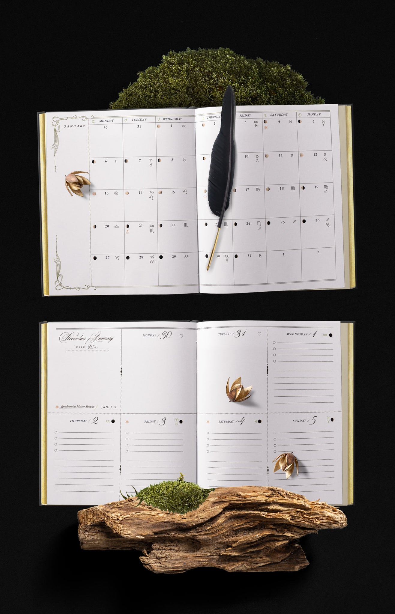 EYRA Planner 2025 by Cocorrina A Year of Healing