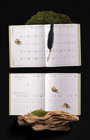 EYRA Planner 2025 by Cocorrina A Year of Healing