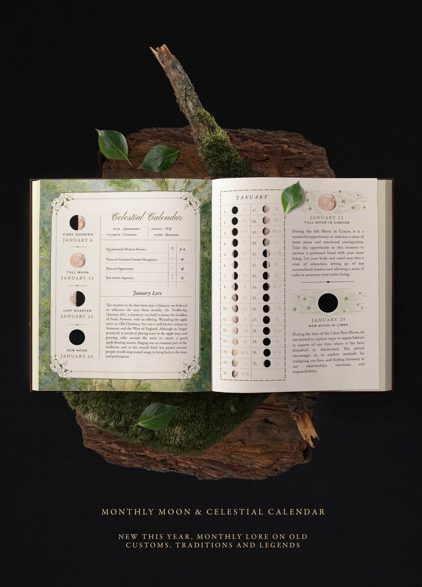 EYRA Planner 2025 by Cocorrina A Year of Healing