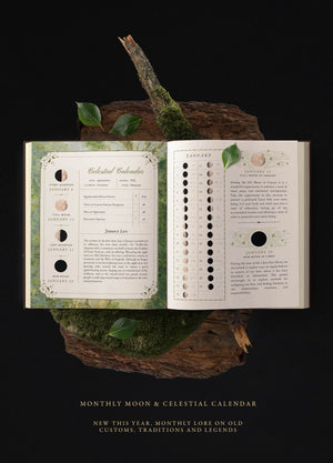 EYRA Planner 2025 by Cocorrina A Year of Healing