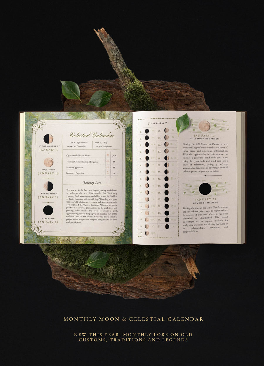EYRA Planner 2025 by Cocorrina A Year of Healing