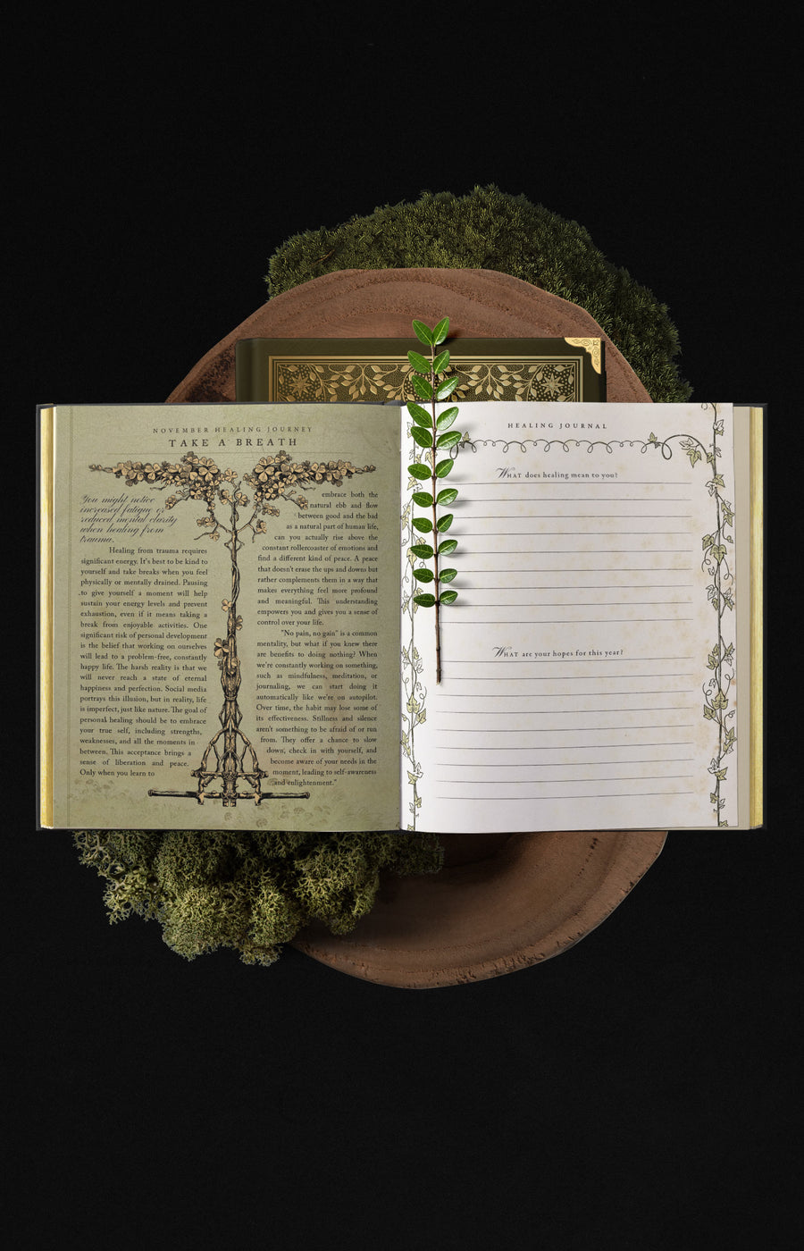 EYRA Planner 2025 by Cocorrina A Year of Healing