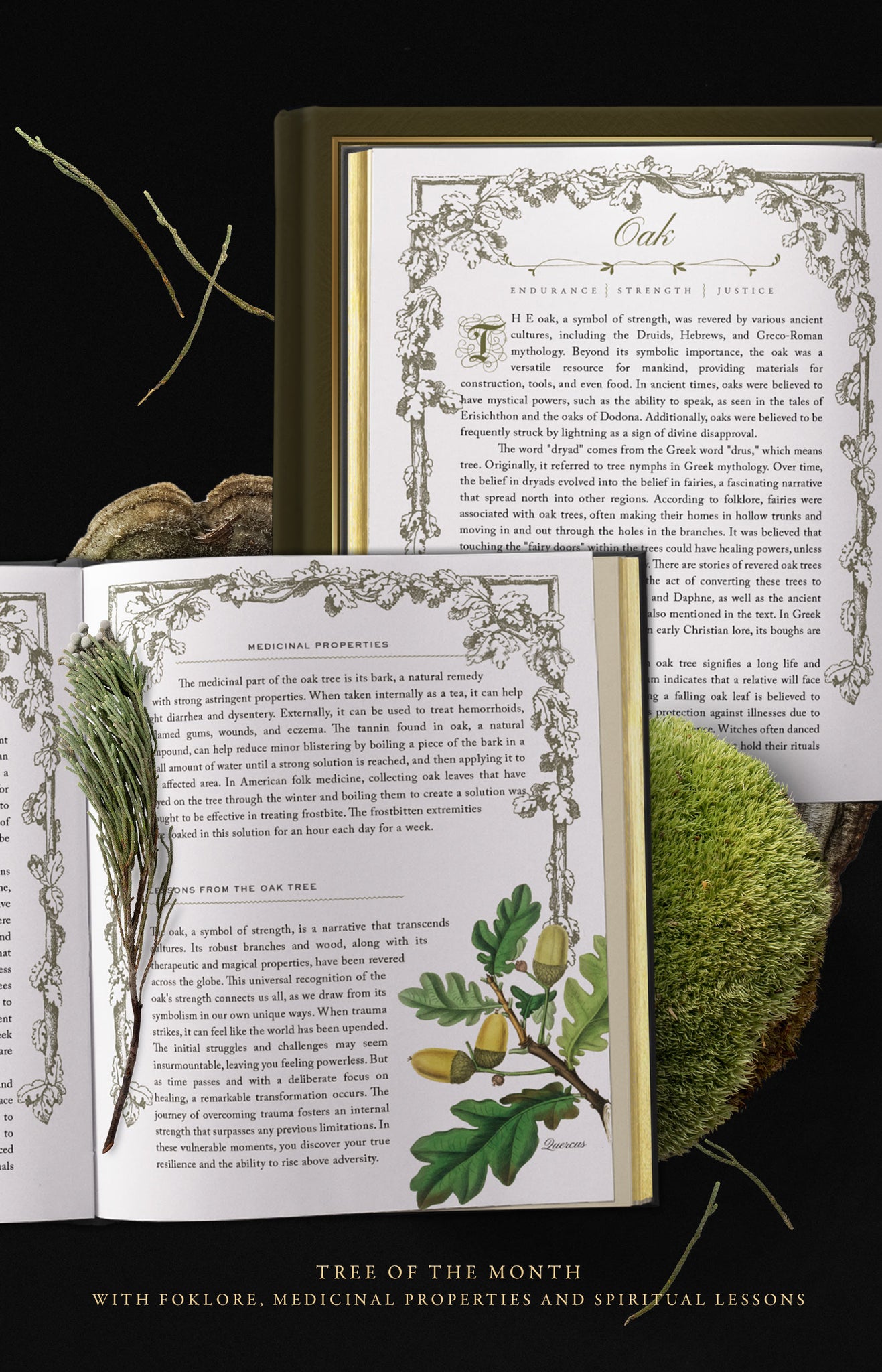 EYRA Planner 2025 by Cocorrina A Year of Healing