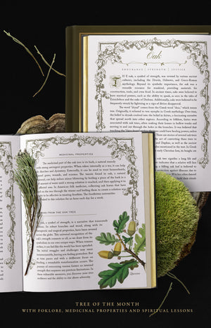EYRA Planner 2025 by Cocorrina A Year of Healing