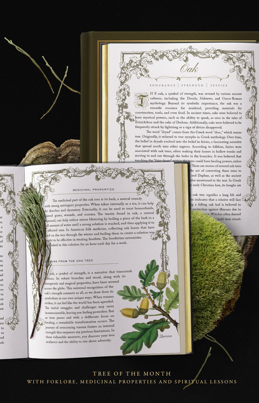 EYRA Planner 2025 by Cocorrina A Year of Healing
