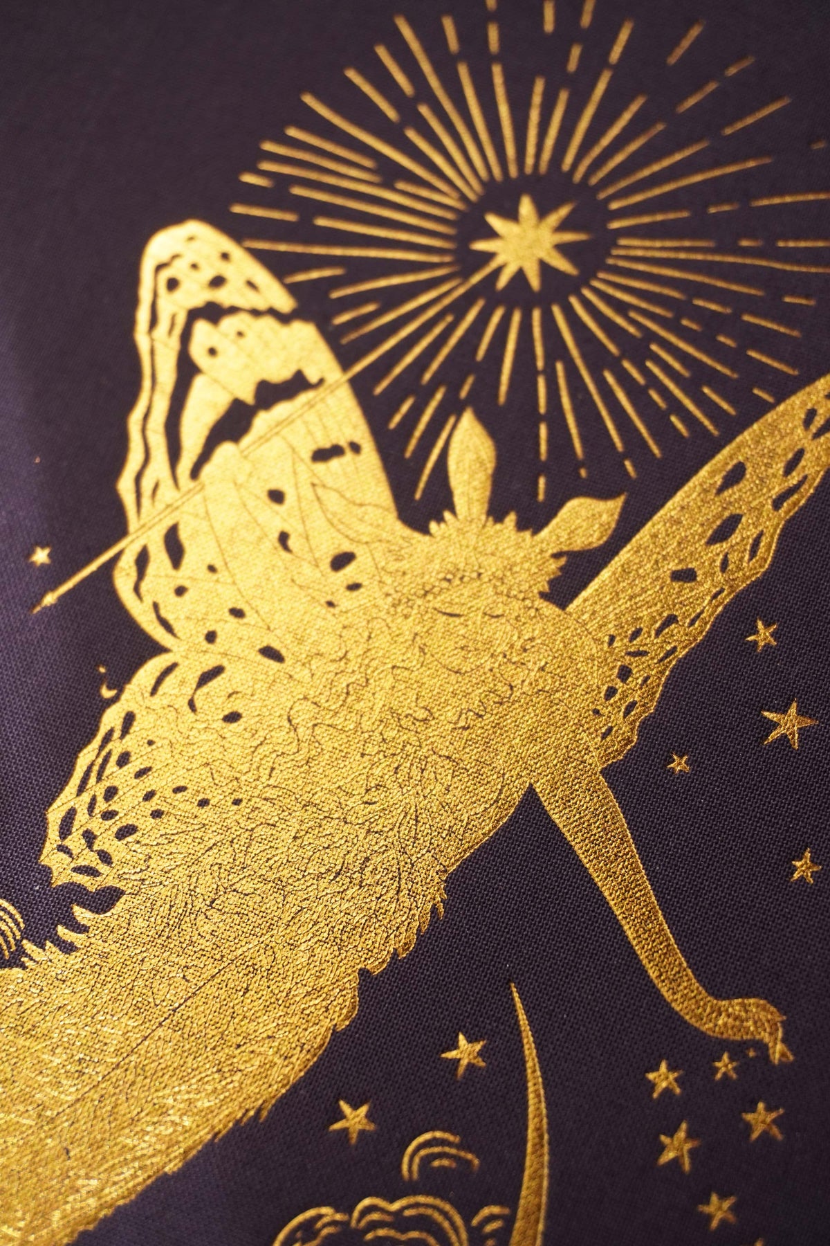 Fairy: Tales and Legends Book