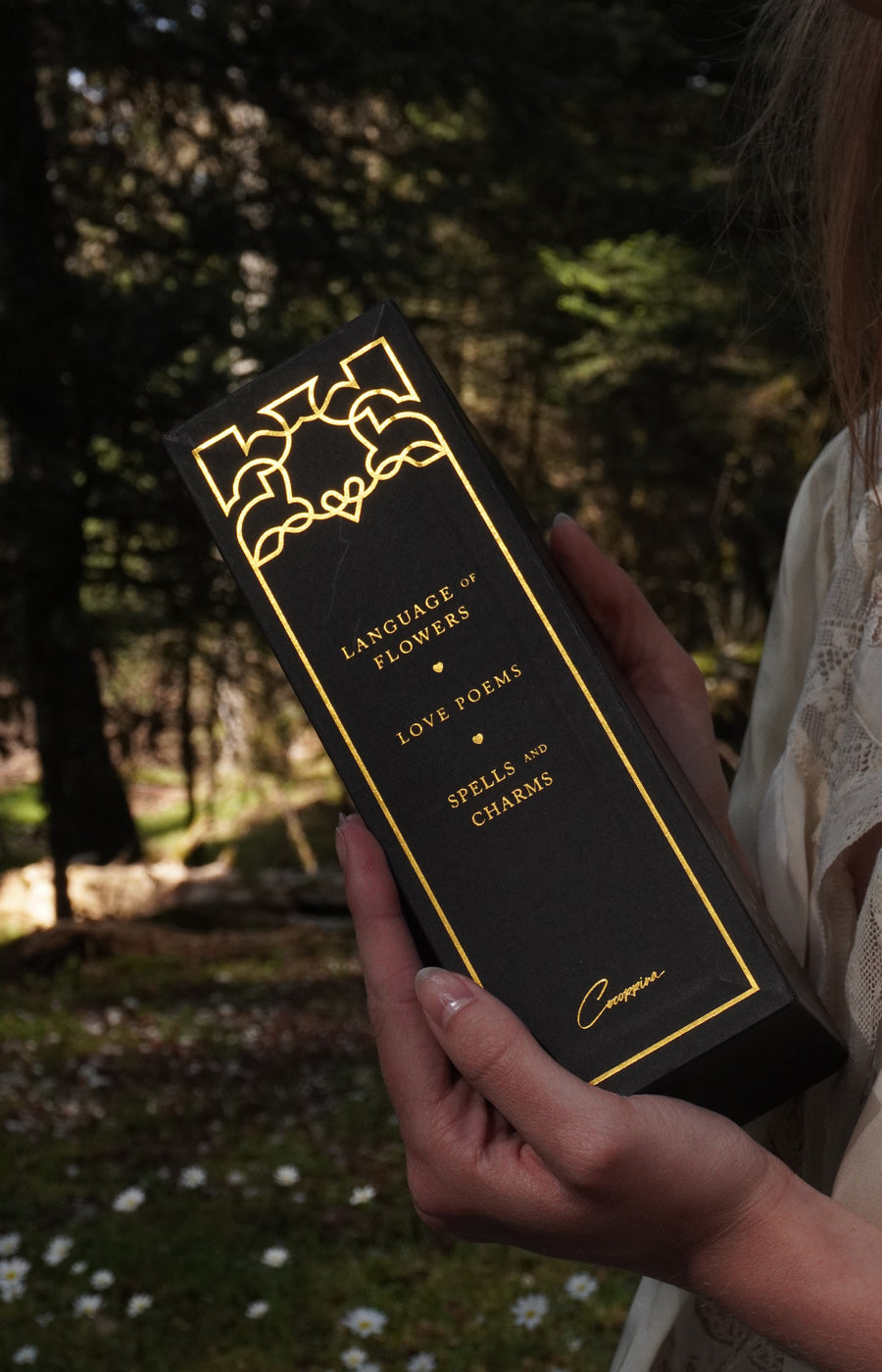 Complete Hardcase Heart Books Collection by Cocorrina