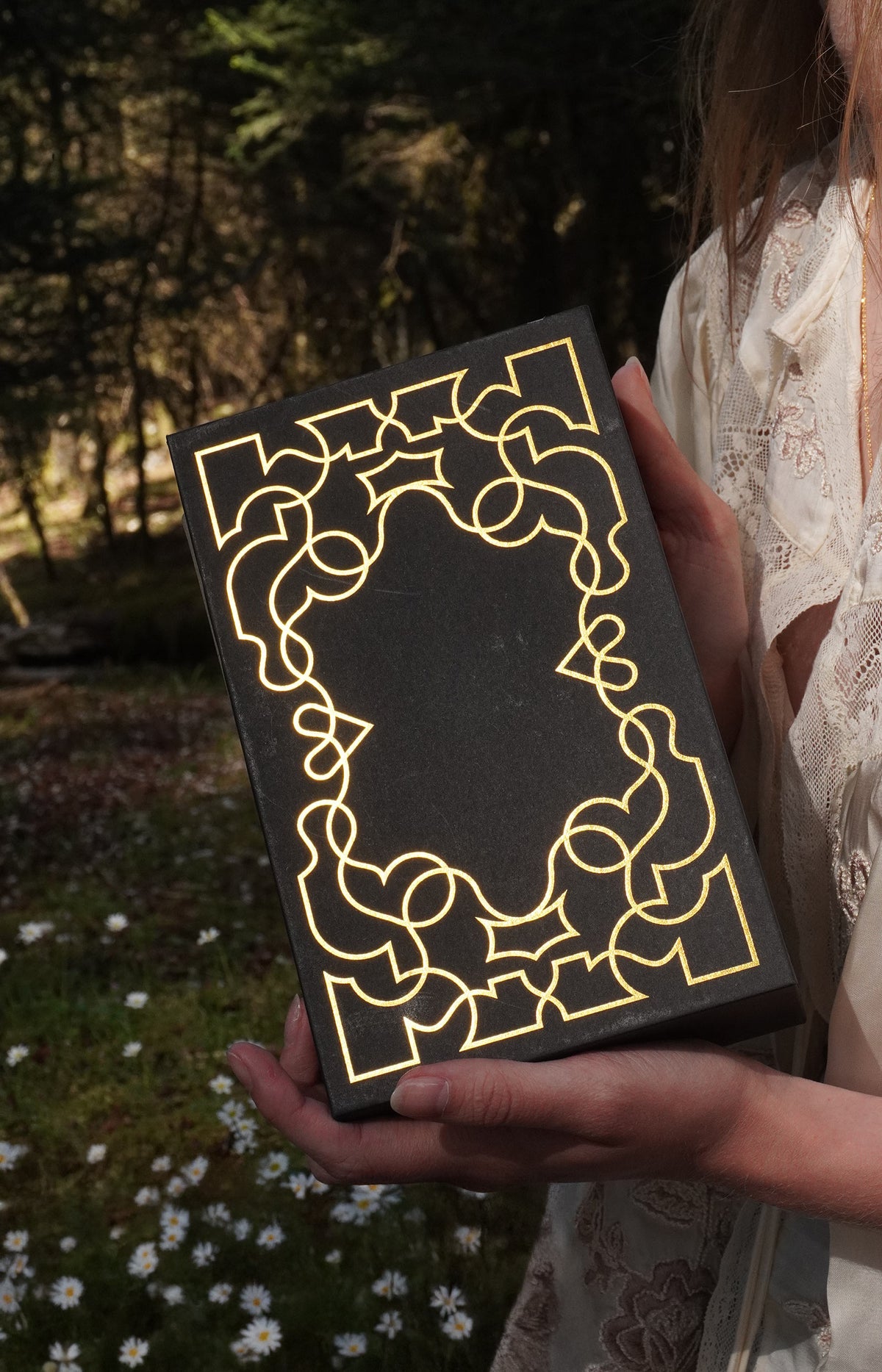 Complete Hardcase Heart Books Collection by Cocorrina