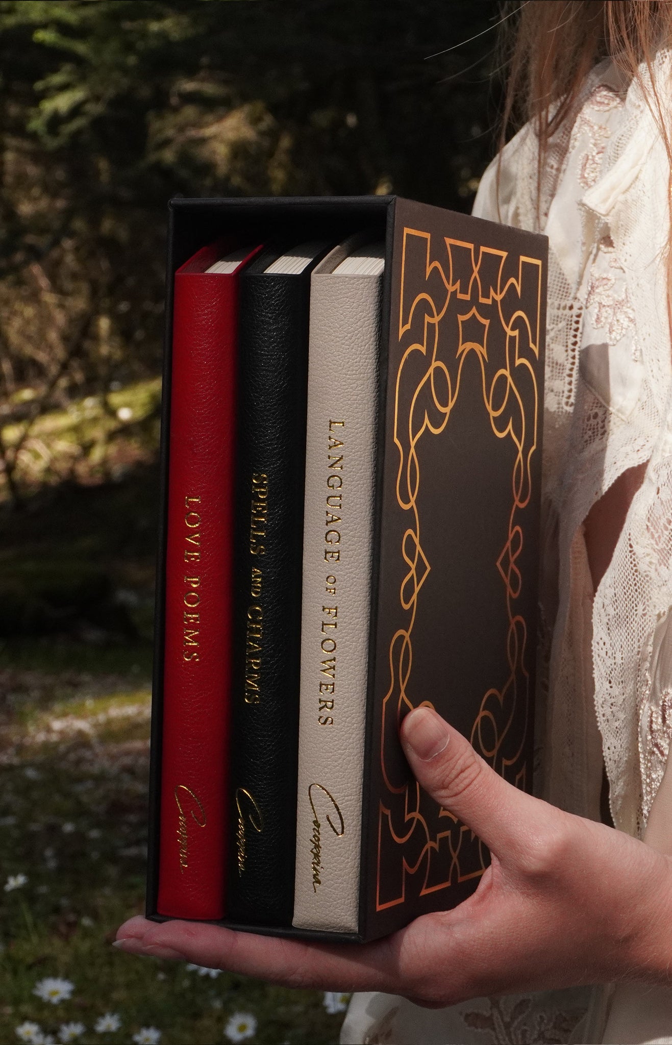 Complete Hardcase Heart Books Collection by Cocorrina