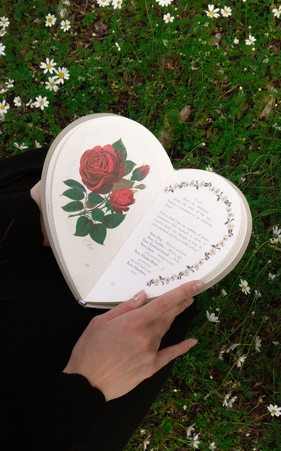 Complete Hardcase Heart Books Collection