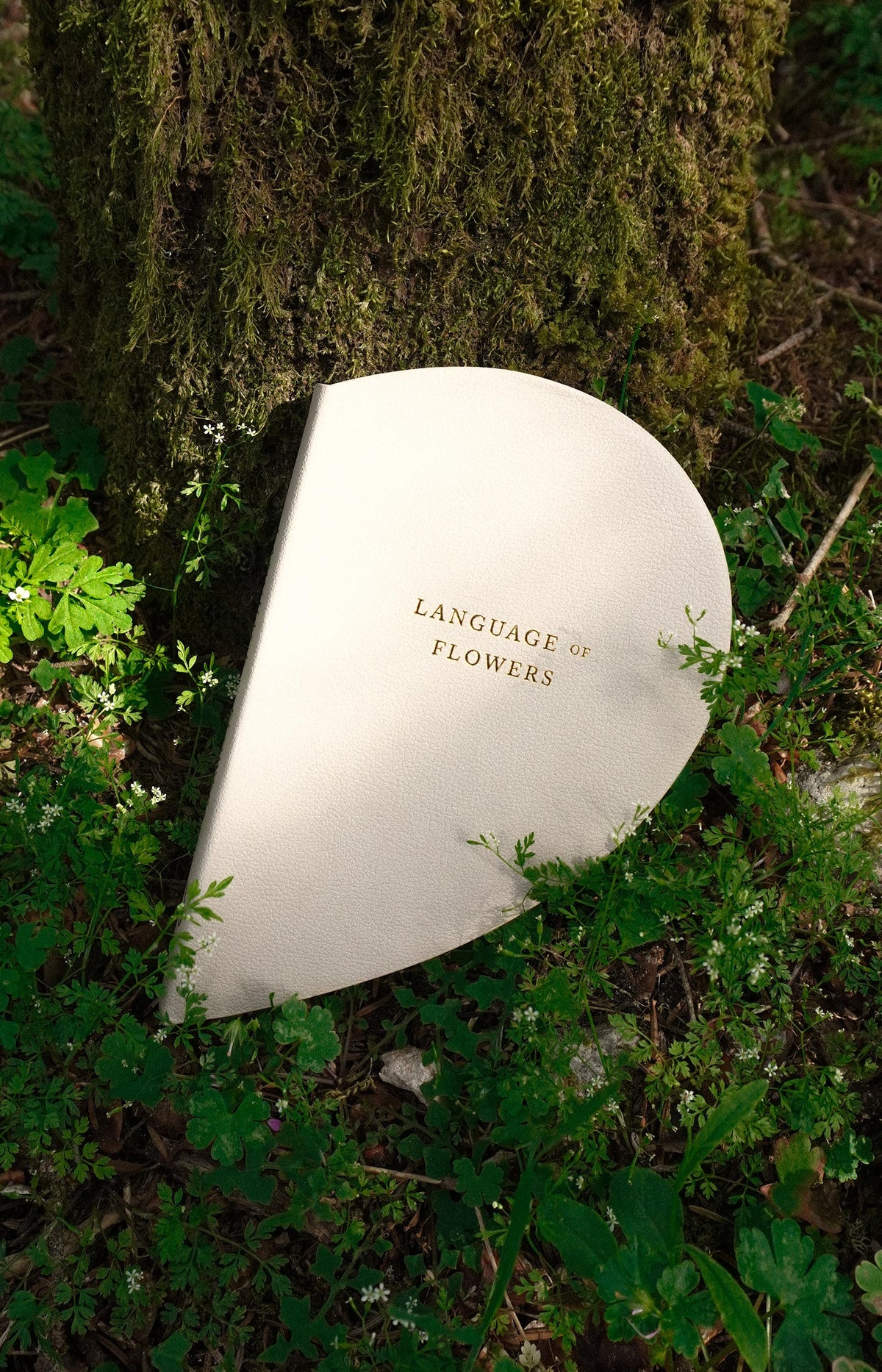 Language of Flowers - Heart Books Collection