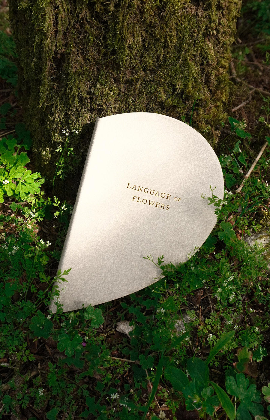 Language of Flowers - Heart Books Collection