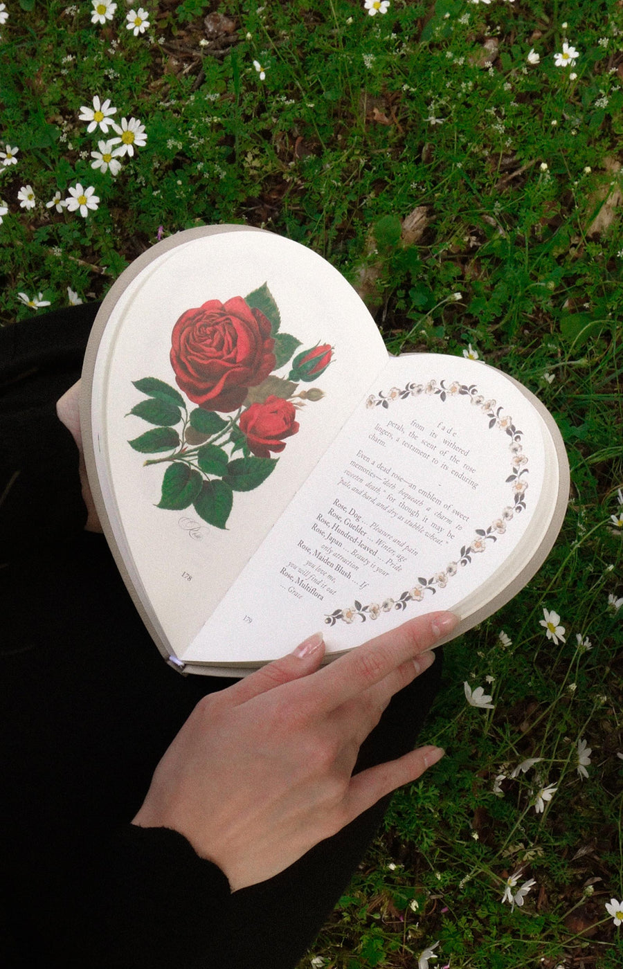 Language of Flowers - Heart Books Collection