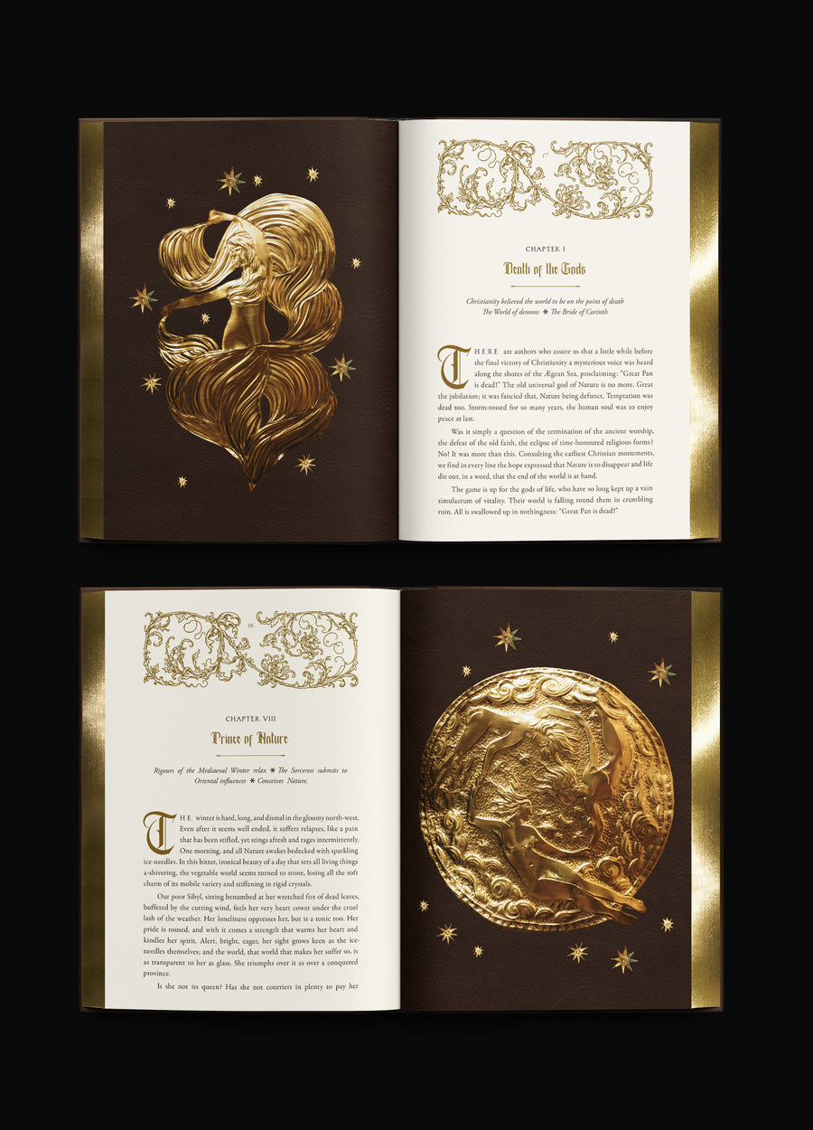 The Sorceress Deluxe Edition Book