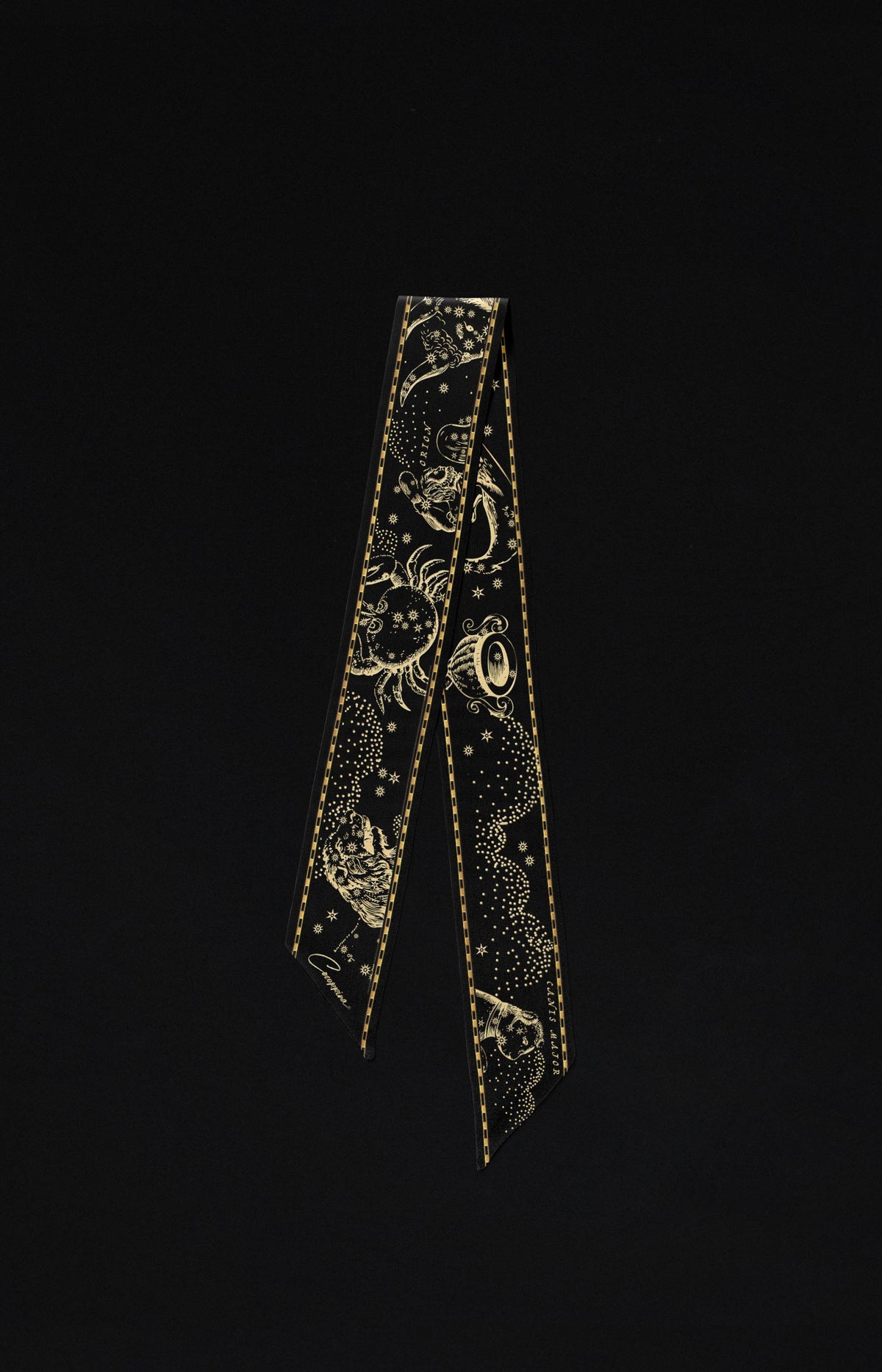Zodiac Constellations Twilly Scarf