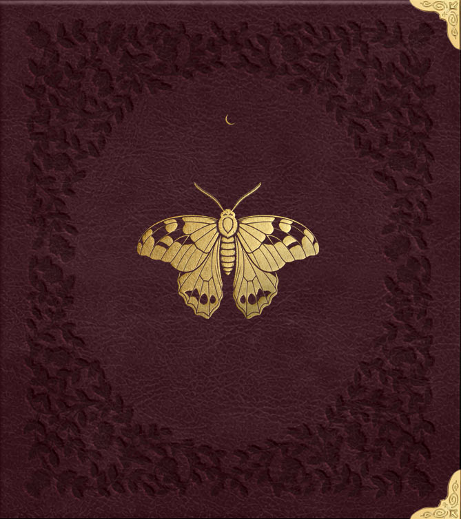 EMBER, 2027 Cocorrina Planner Book